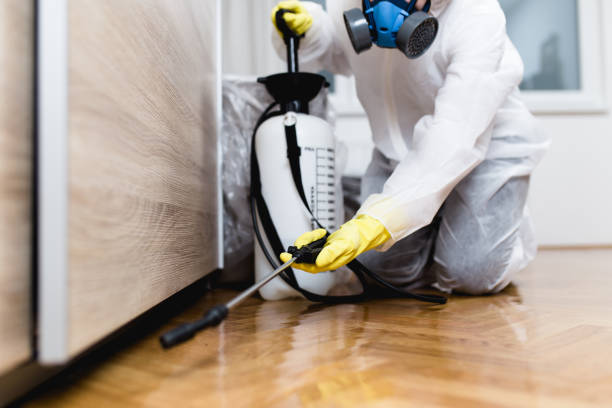 Best Emergency Pest Control  in Winnebago, MN