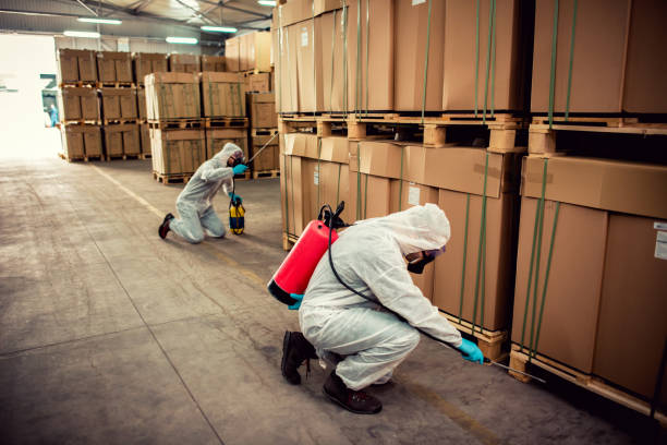  Winnebago, MN Pest Control Pros