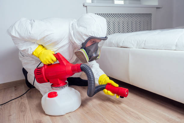 Best Flea Control Services  in Winnebago, MN