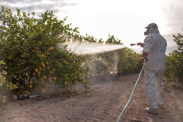 Pest Prevention Services in Winnebago, MN