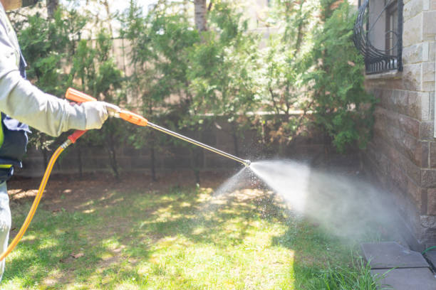 Best Local Pest Control Services  in Winnebago, MN