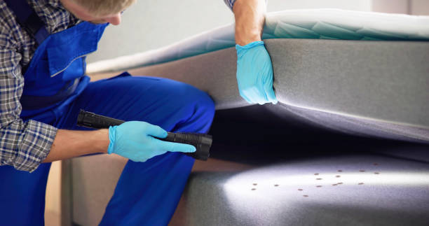 Best Best Pest Control Companies  in Winnebago, MN