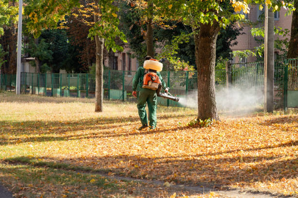 Best Ant Control Services  in Winnebago, MN