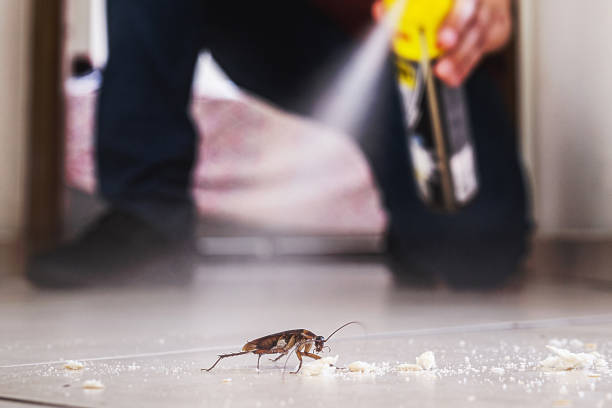 Best Pest Prevention Services  in Winnebago, MN